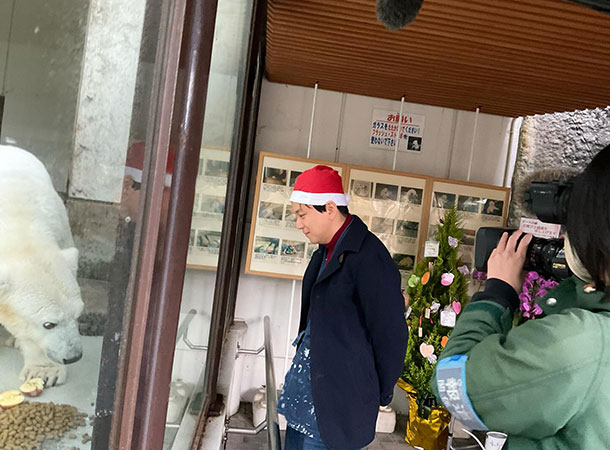 石村嘉成 オフィシャルサイト » とべ動物園のシロクマ ピースちゃん