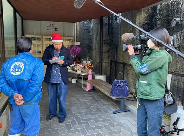 とべ動物園のシロクマ ピースちゃん