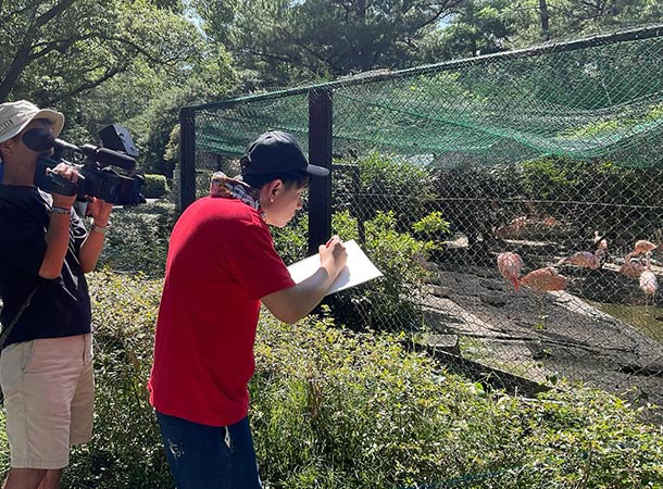宮崎市フェニックス自然動物園と宮崎県立美術館