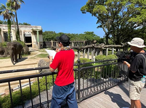 宮崎市フェニックス自然動物園と宮崎県立美術館