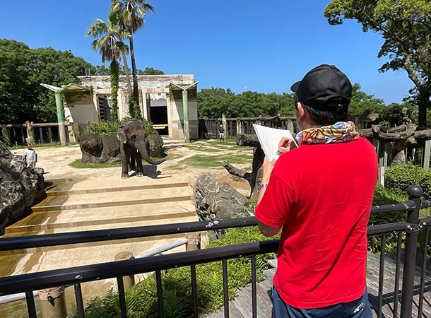 宮崎市フェニックス自然動物園と宮崎県立美術館