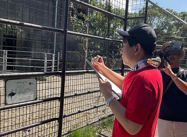宮崎市フェニックス自然動物園と宮崎県立美術館