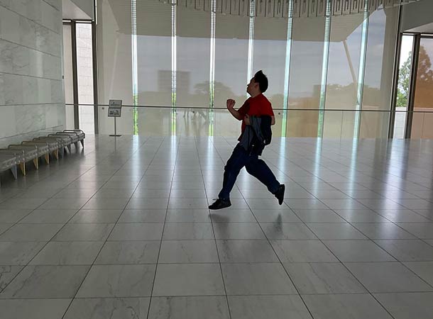 宮崎市フェニックス自然動物園と宮崎県立美術館