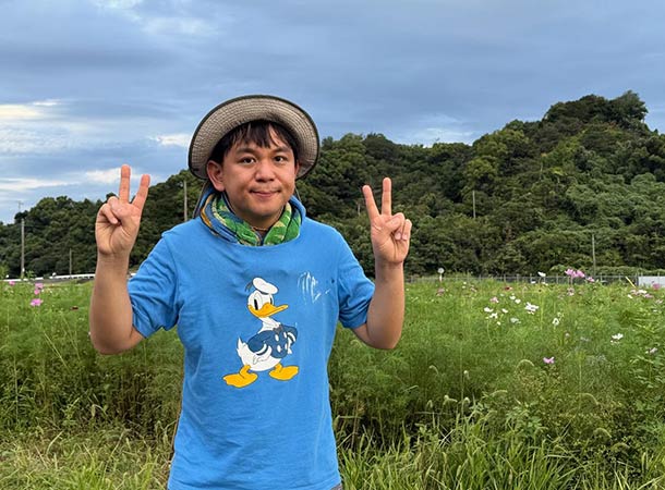 コスモスが咲いていました!!