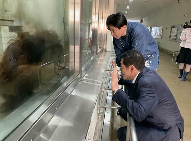 オランウータン ジェニファーちゃんの歓迎式